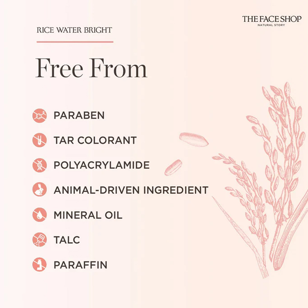 THE FACE SHOP RICE WATER BRIGH – обзор и цена Luxury Skincare Aesthetic